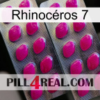 Rhinocéros 7 10